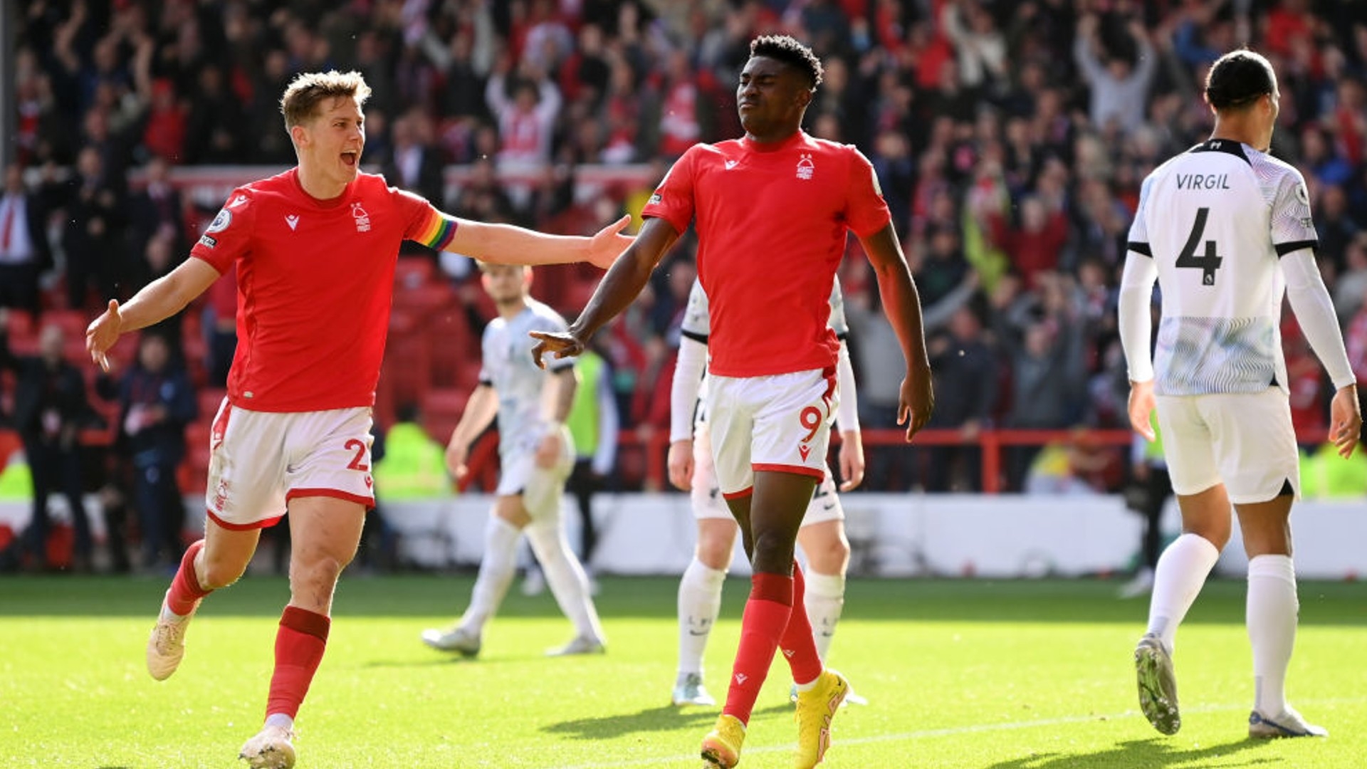 与偶然的博 与偶然的博