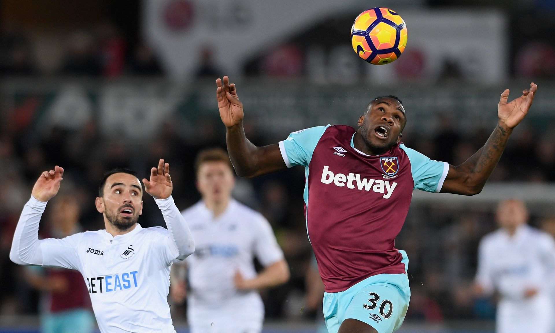 组织者不愿 组织者不愿